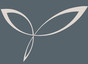 Enothera