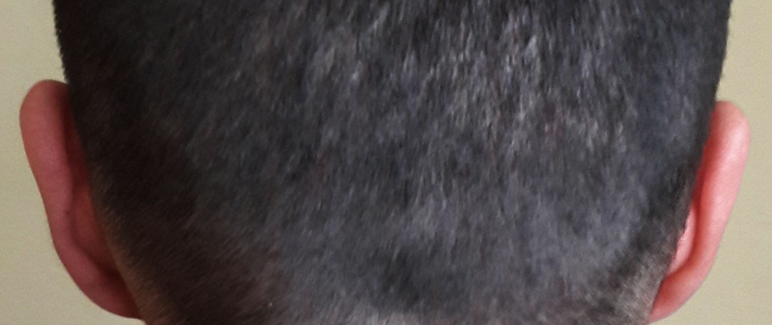 30117