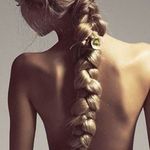 ivet_c454831