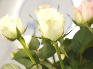 Otvárací ceremoniál Medirectu
